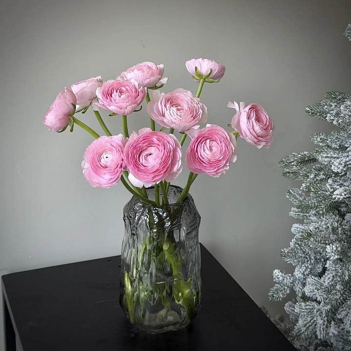 Пачка ранункулюс розовых оптом №2259